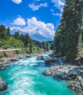 Thajiwas Glacier Trek