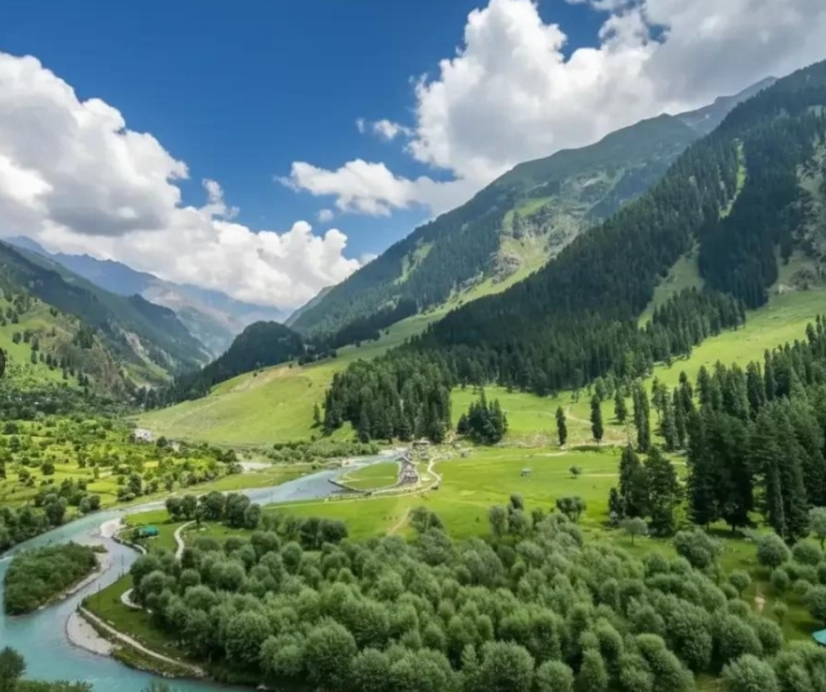 Kashmir in Bloom