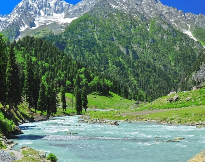 Kashmir Honeymoon Package
