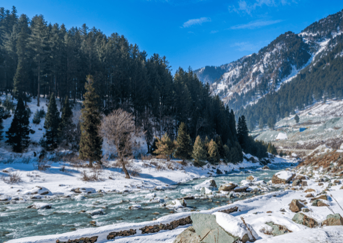 Doodhpathri Offbeat Getaway